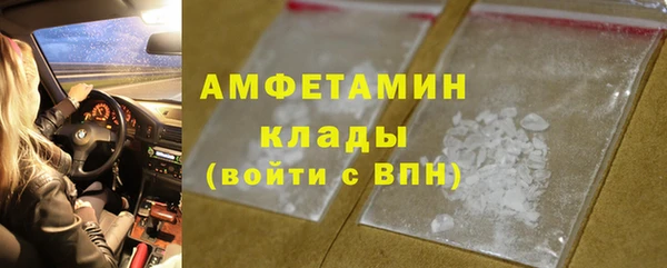 ПСИЛОЦИБИНОВЫЕ ГРИБЫ Няндома