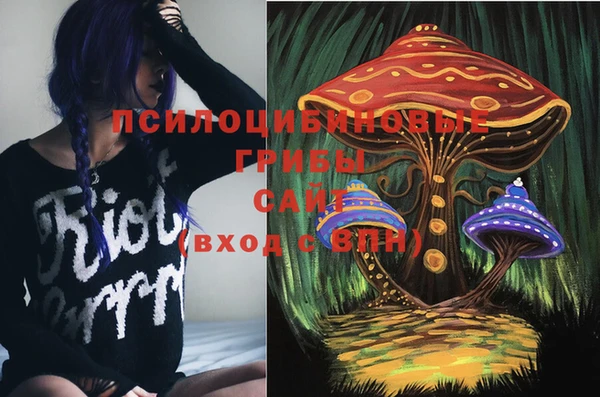 ПСИЛОЦИБИНОВЫЕ ГРИБЫ Няндома