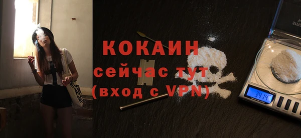 ПСИЛОЦИБИНОВЫЕ ГРИБЫ Няндома