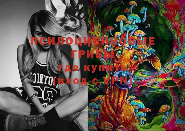 Альфа ПВП Нягань