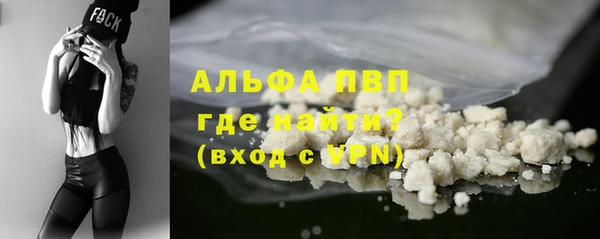 ПСИЛОЦИБИНОВЫЕ ГРИБЫ Няндома