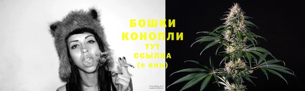 ПСИЛОЦИБИНОВЫЕ ГРИБЫ Няндома