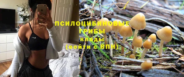 ПСИЛОЦИБИНОВЫЕ ГРИБЫ Няндома