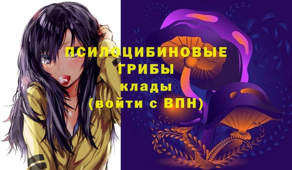 МДМА Нязепетровск