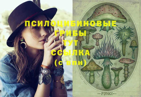 Альфа ПВП Нягань